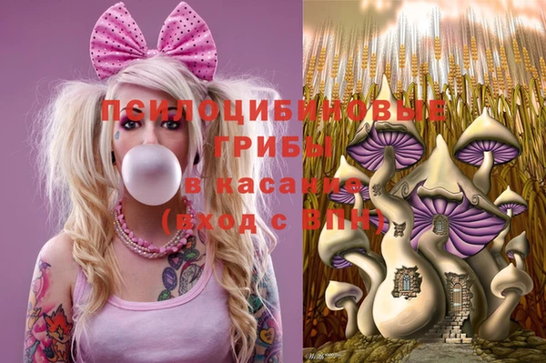 а пвп мука Алзамай