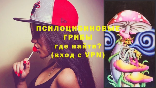 а пвп мука Алзамай