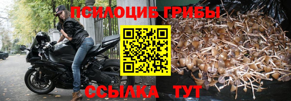 Галлюциногенные грибы MAGIC MUSHROOMS  Вход с VPN  Ижевск 